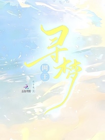 網(wǎng)王：尋夢(mèng)