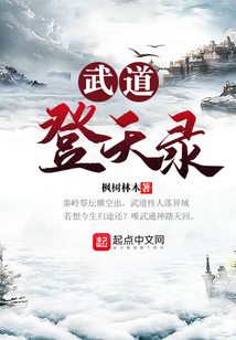 武道登天錄