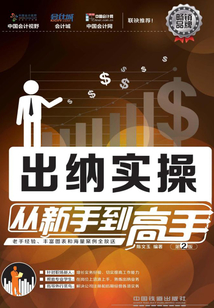 出納實操從新手到高手(第2版)