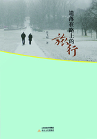 遺落在路上的旅行在線閱讀