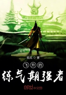 飛升的練氣期強者
