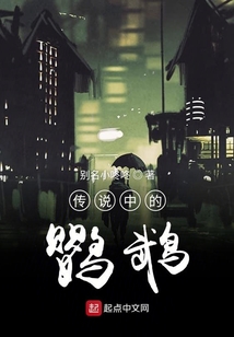 傳說(shuō)中的鸚鵡