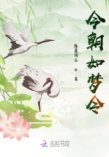今朝如夢令