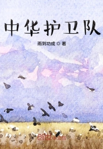 中華護衛隊
