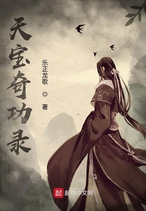 天寶奇功錄