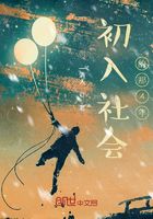 初入社會的那4年在線閱讀