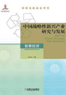 中國戰略性新興產業研究與發展:智慧經濟