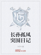 长孙孤风突围日记