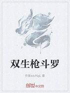 双生枪斗罗在线阅读