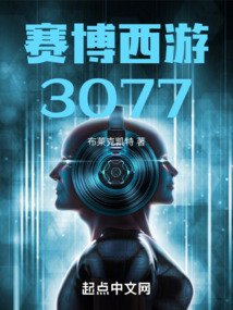 賽博西游3077