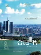 合肥传:那一抹大湖名城的风景在线阅读