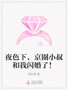 夜色下,京圈小叔和我闪婚了!在线阅读