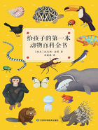 给孩子的第一本动物百科全书在线阅读