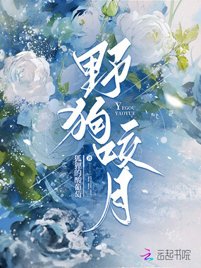 野狗咬月在线阅读