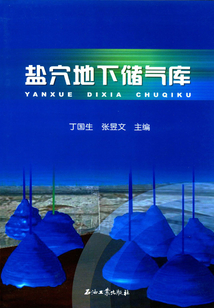 鹽穴地下儲氣庫