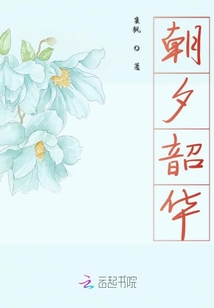 朝夕韶華