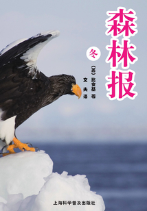 森林報（冬）