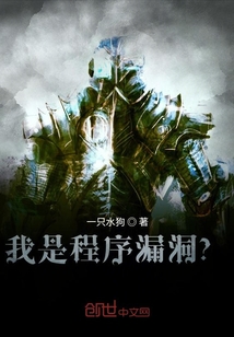 我是程序漏洞？