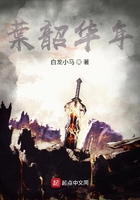 叶韶华年在线阅读