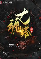 七魂塔秘录在线阅读