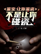 鉴宝:让你鉴瓷,不是让你碰瓷在线阅读