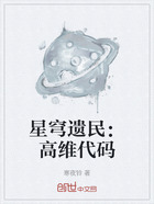 星穹遗民：高维代码在线阅读