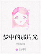 梦中的那片光在线阅读
