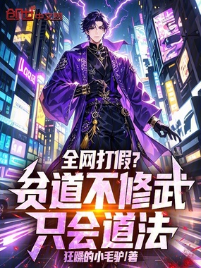 全网打假?贫道不修武,只会道法在线阅读