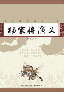 楊家將演義