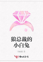 狼總裁的小白兔在線閱讀