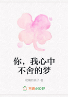 你，我心中不舍的夢在線閱讀