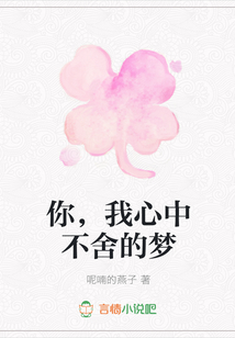 你，我心中不舍的夢