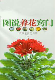 圖說養花竅門
