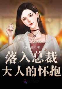 落入總裁大人的懷抱