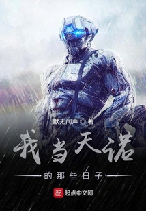 我當天諾的那些日子