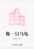 像一只烏龜在線閱讀