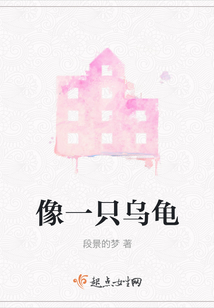 像一只烏龜