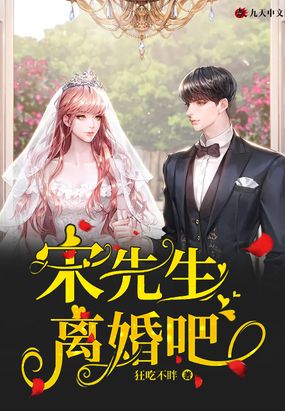 宋先生，离婚吧在线阅读