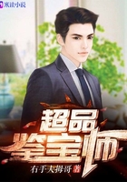 超品鉴宝师