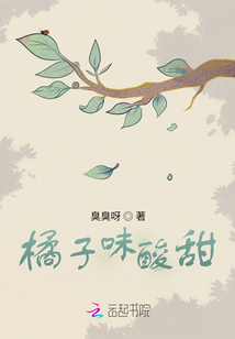 橘子味酸甜