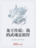 龙王传说:我的武魂是祖符在线阅读