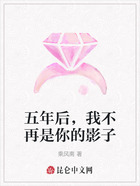 五年后,我不再是你的影子在线阅读