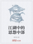 江湖中的恩怨中部在线阅读