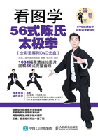 看图学56式陈氏太极拳