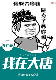 我在大唐開產(chǎn)業(yè)