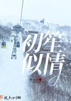 初笙似情在線閱讀