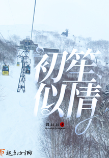 初笙似情