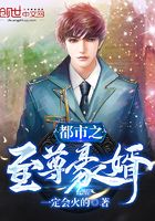 都市之至尊豪婿在線閱讀