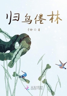 归鸟倦林