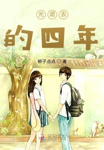 光逝去的四年